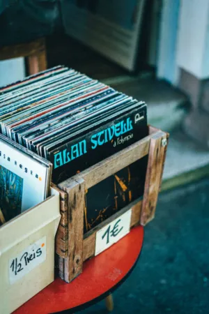 Record Collection Display