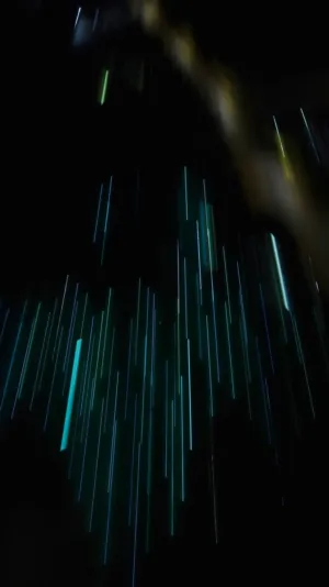 Light Trails