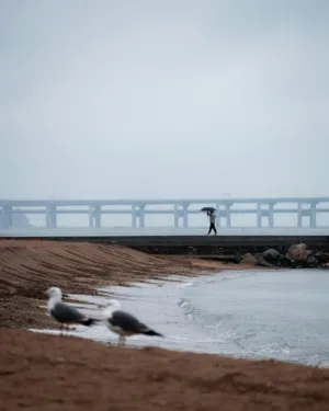 Beach Walk