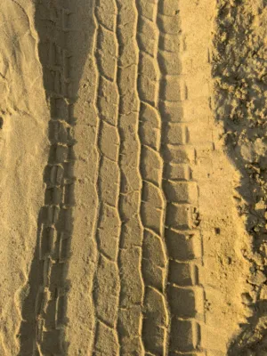 Sand Tire Tracks
