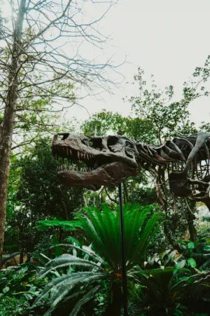 Dinosaur Skeleton In A Garden
