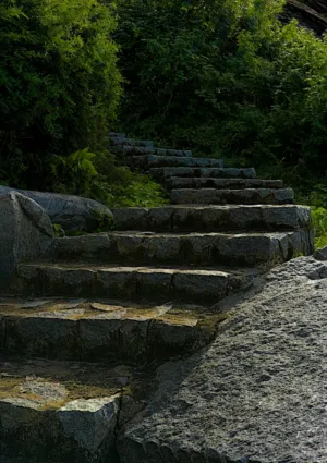 Stone Steps In The Woods