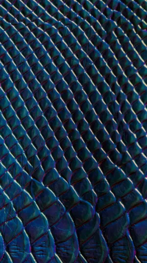Iridescent Scales