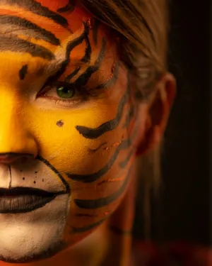 Tiger Face Art
