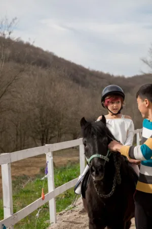 Child Riding A Pony
