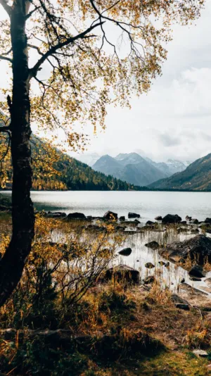 Autumn Lake Landscape