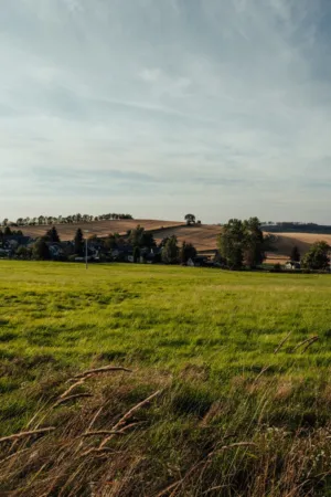 Green Fields And Rolling Hills