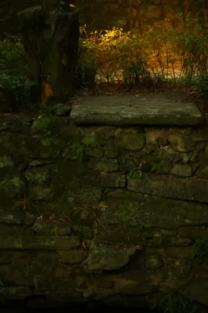 Stone Wall And Garden