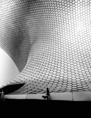 Modern Architecture