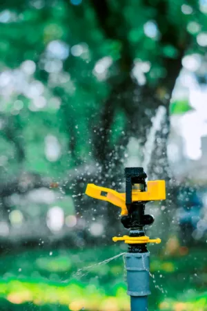 Sprinkler In Action
