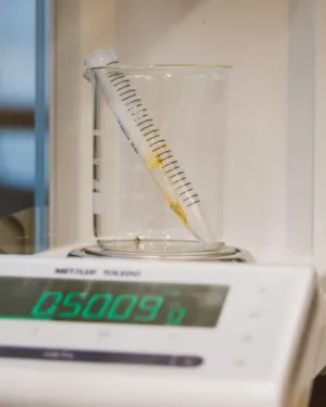Scientific Experiment
