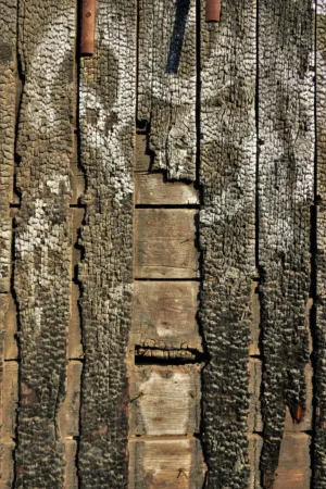 Weathered Wood Planks