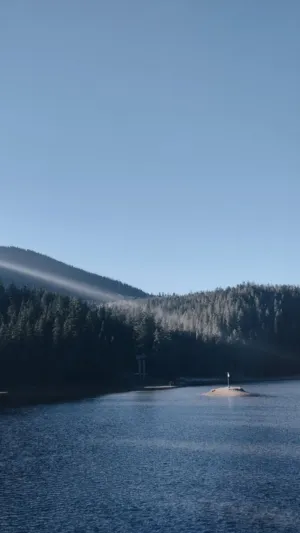 Lakeside View