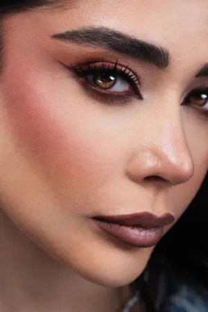 Elegant Makeup Look