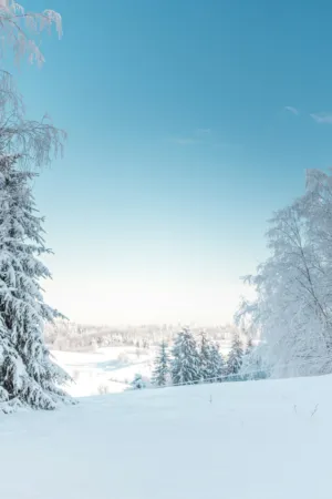 Winter Wonderland
