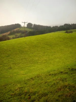 Green Hillside