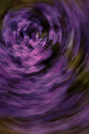 Purple Floral Swirl