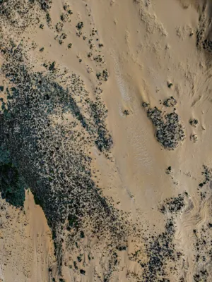Desert Landscape