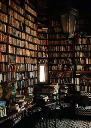 Cozy Library