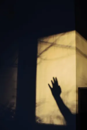 Hand Shadow On Wall