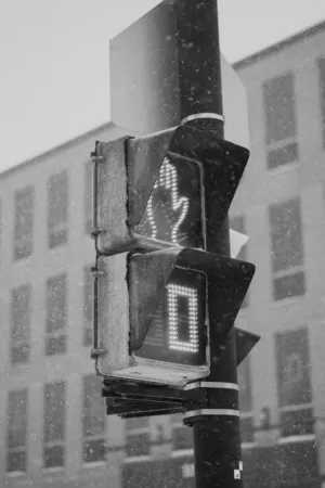 Snowy Traffic Light