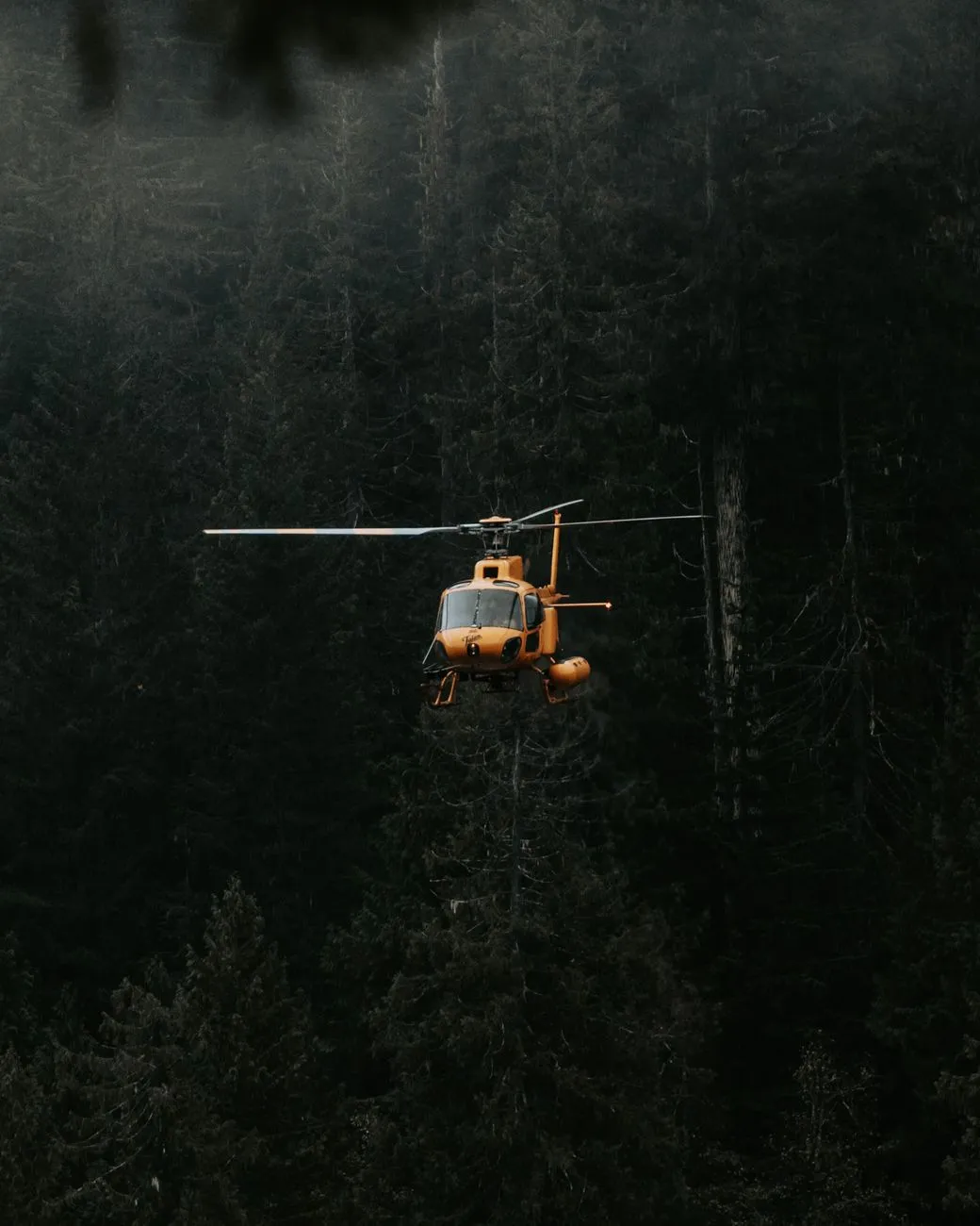 Helicopter In The Forest