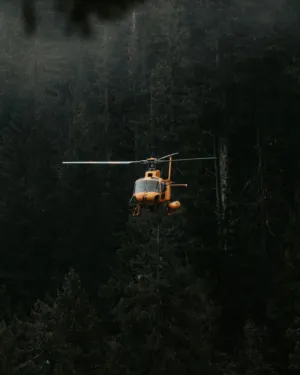 Helicopter In The Forest