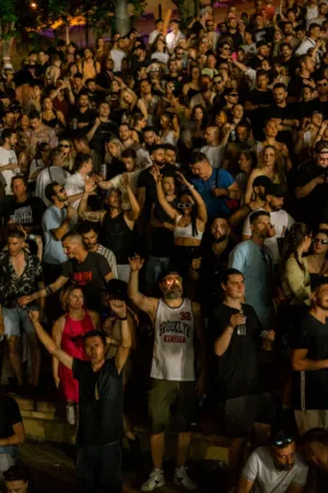 Crowd At A Concert