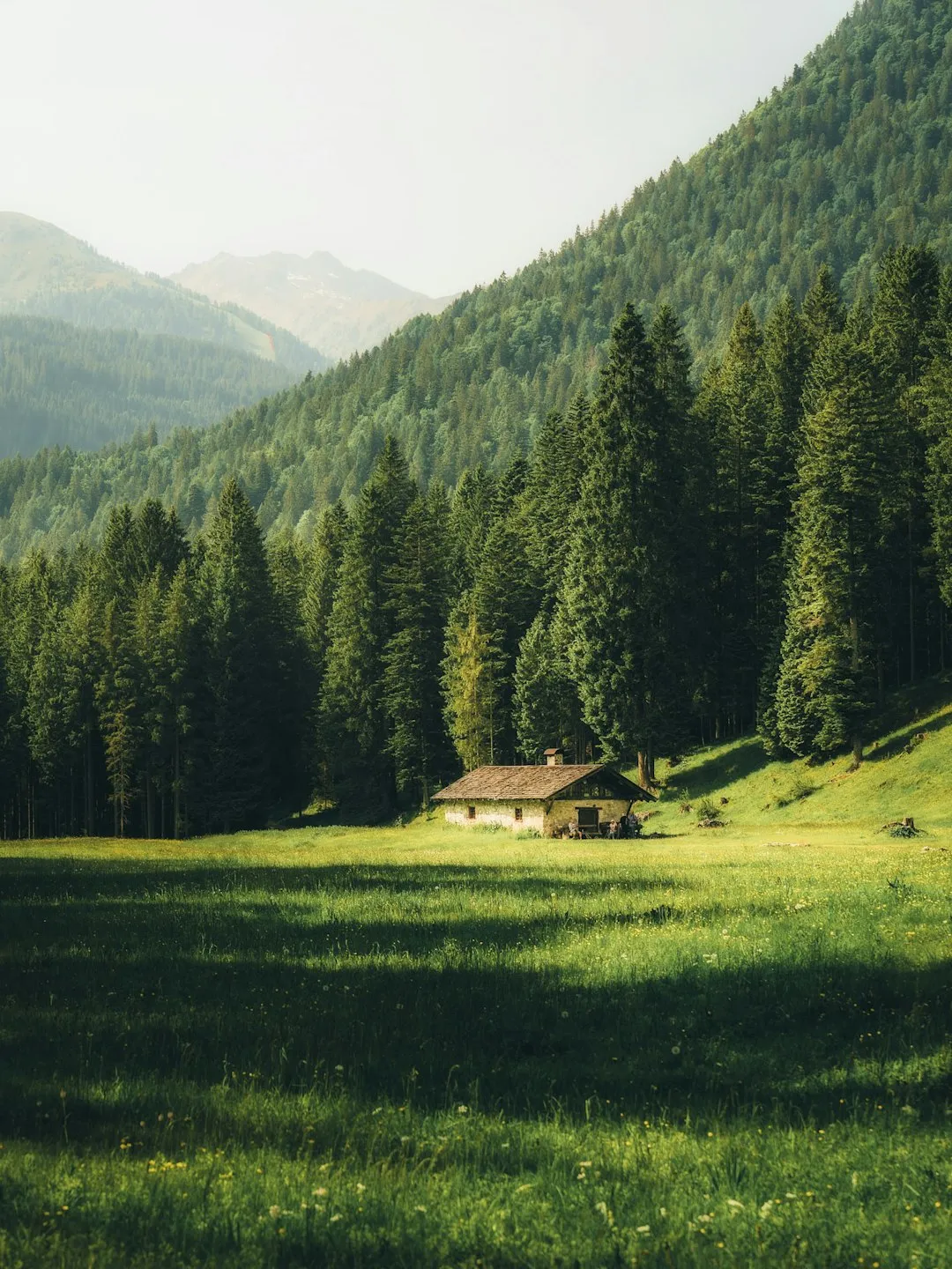 Mountain Cabin