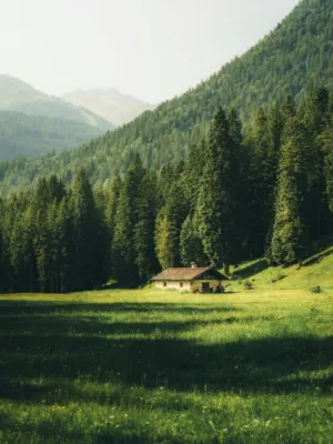 Mountain Cabin