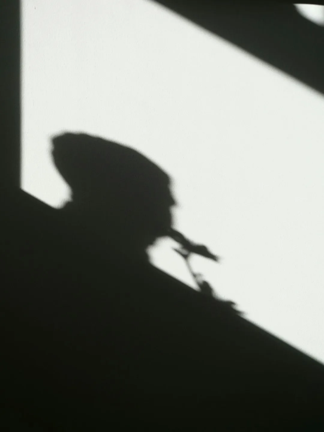 Shadow Of A Person