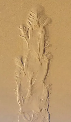 Sand Art
