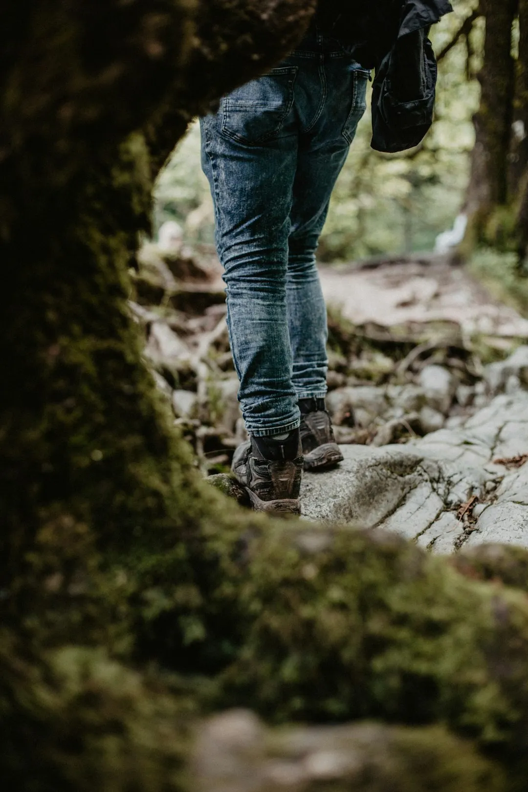 Hiker In The Forest