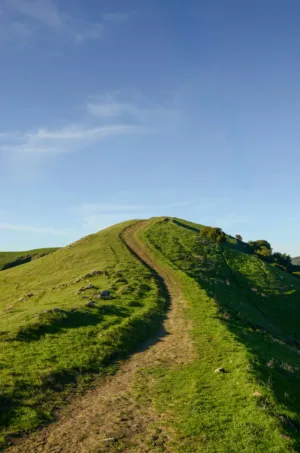Green Hill Path