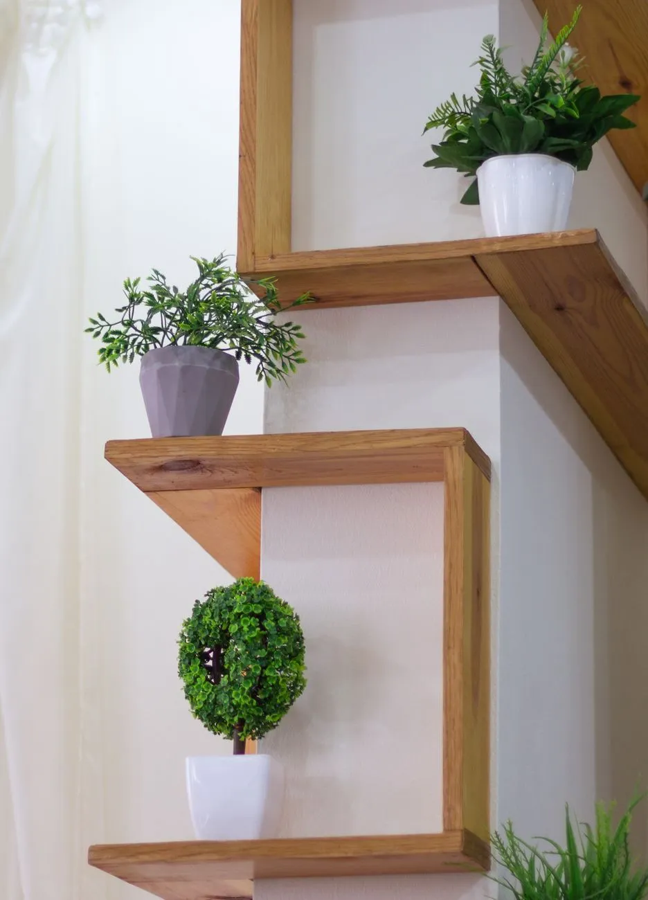 Modern Wooden Shelves With Plants