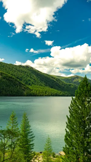 Lakeside Landscape