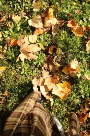 Autumn Walk