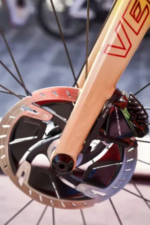 Bicycle Brake System