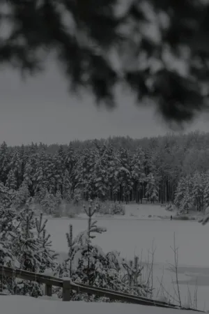 Winter Wonderland