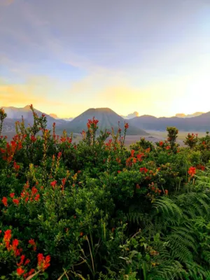 Bromo Volcano At Sunset