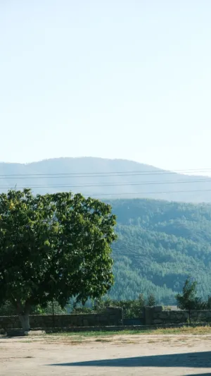Mountain Landscape