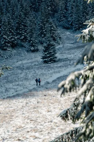 Winter Hike
