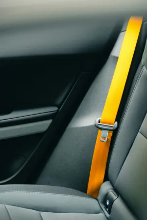Seat Belt