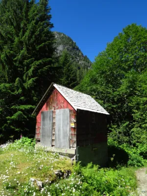 Red Barn In Forest