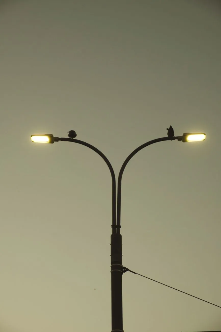 Streetlight Silhouette