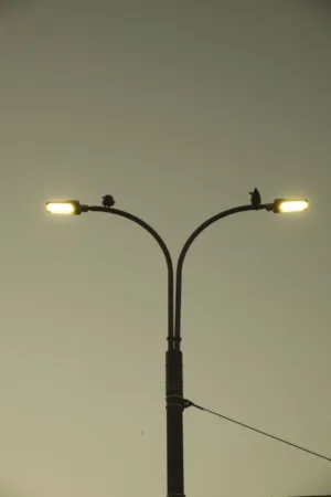 Streetlight Silhouette
