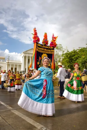 Colorful Parade