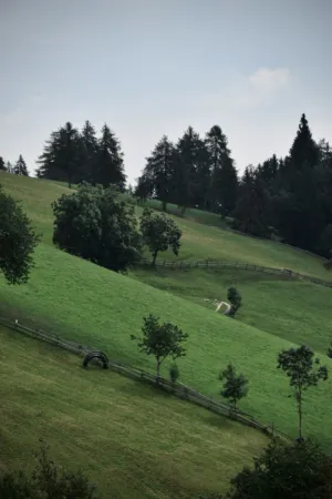 Green Hills