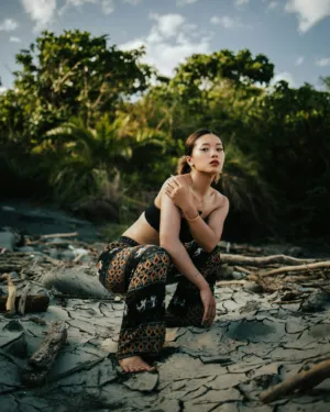 Beach Model