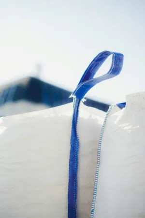 Blue Handle On A White Bag